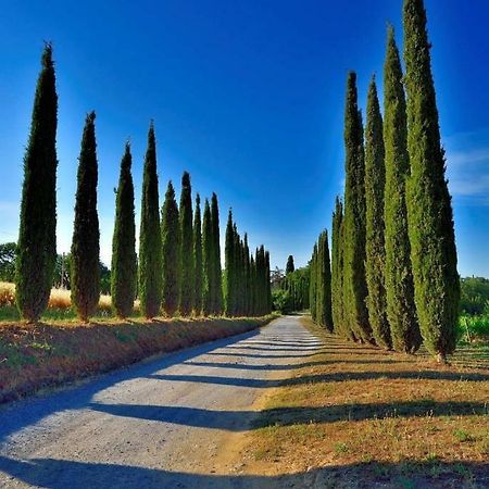 מונטיאנו Agriturismo Boschetto Di Montiano מראה חיצוני תמונה
