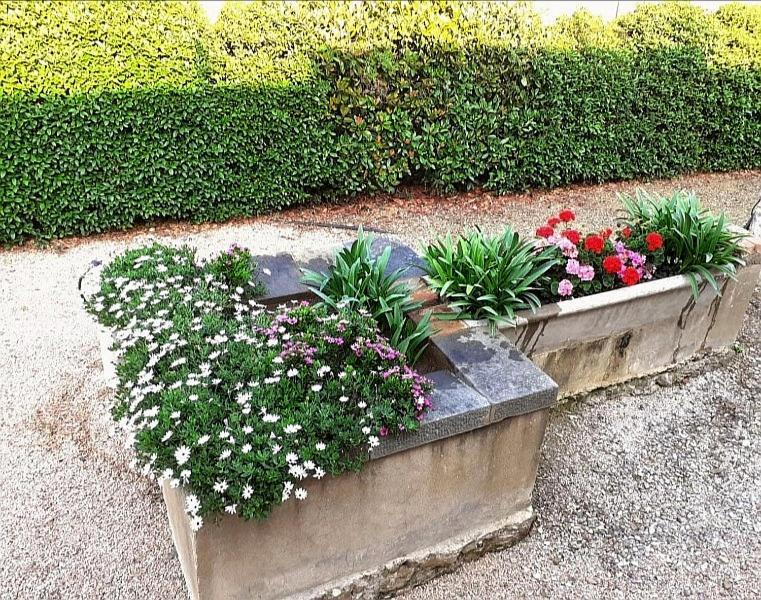 מונטיאנו Agriturismo Boschetto Di Montiano מראה חיצוני תמונה