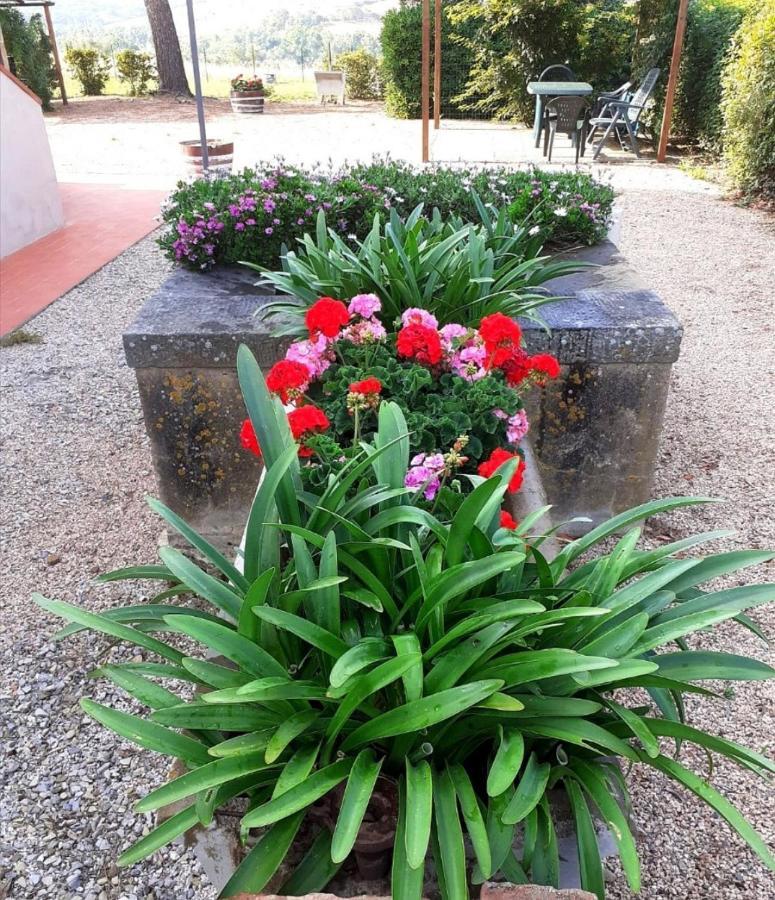 מונטיאנו Agriturismo Boschetto Di Montiano מראה חיצוני תמונה