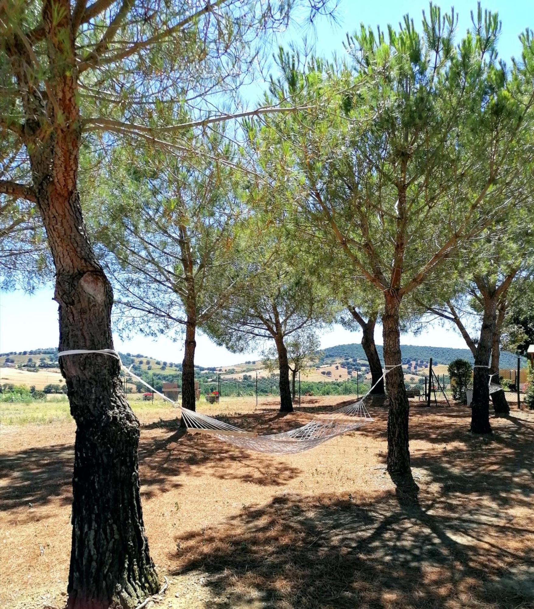 מונטיאנו Agriturismo Boschetto Di Montiano חדר תמונה