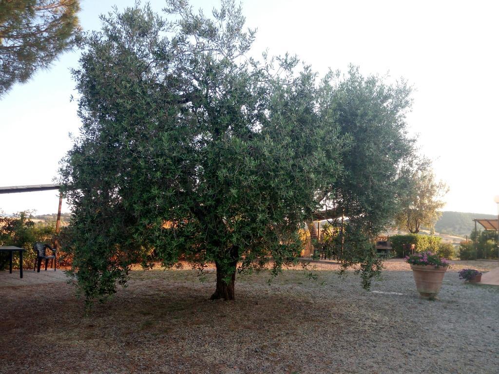 מונטיאנו Agriturismo Boschetto Di Montiano מראה חיצוני תמונה