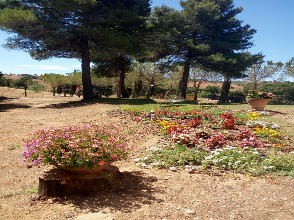 מונטיאנו Agriturismo Boschetto Di Montiano מראה חיצוני תמונה