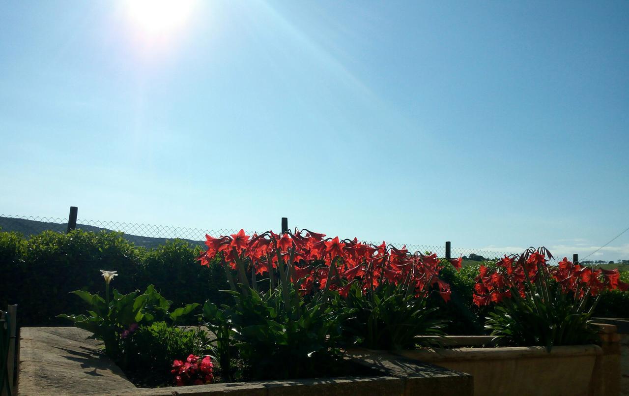 מונטיאנו Agriturismo Boschetto Di Montiano מראה חיצוני תמונה